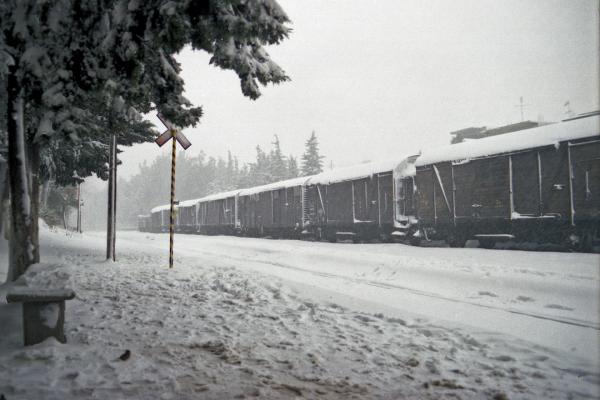 AgStef_Snow_NK08