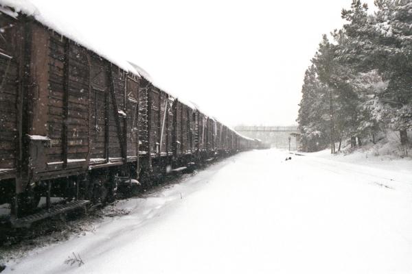 AgStef_Snow_NK09