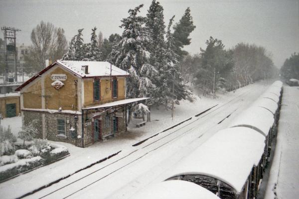 AgStef_Snow_NK10