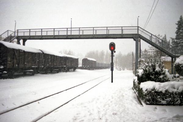 AgStef_Snow_NK11