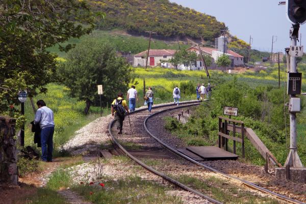 Thavmakos_03